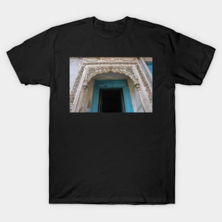 blue door T-Shirt